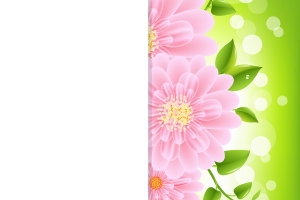 Paper With Pink Gerber And Bokeh