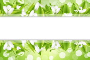 Border With Snowdrops And Bokeh