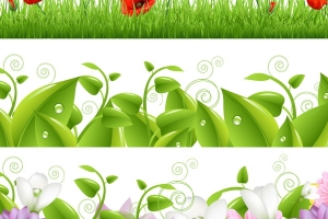 Borders With Flowers And Grass