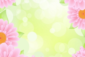 Pink Gerbers Border