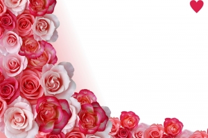 Abstract border, roses